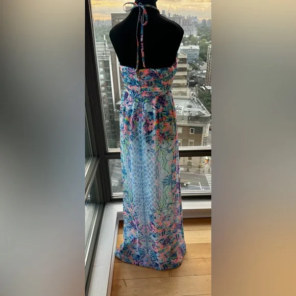 🆕 LILLY PULITZER 🧿 NWOT Viv Maxi Dress, Multi Hidden Treasures - Sz US 6 - Picture 11 of 16